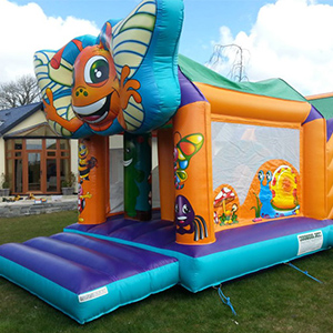 Bugs Obstacle Course Youghal